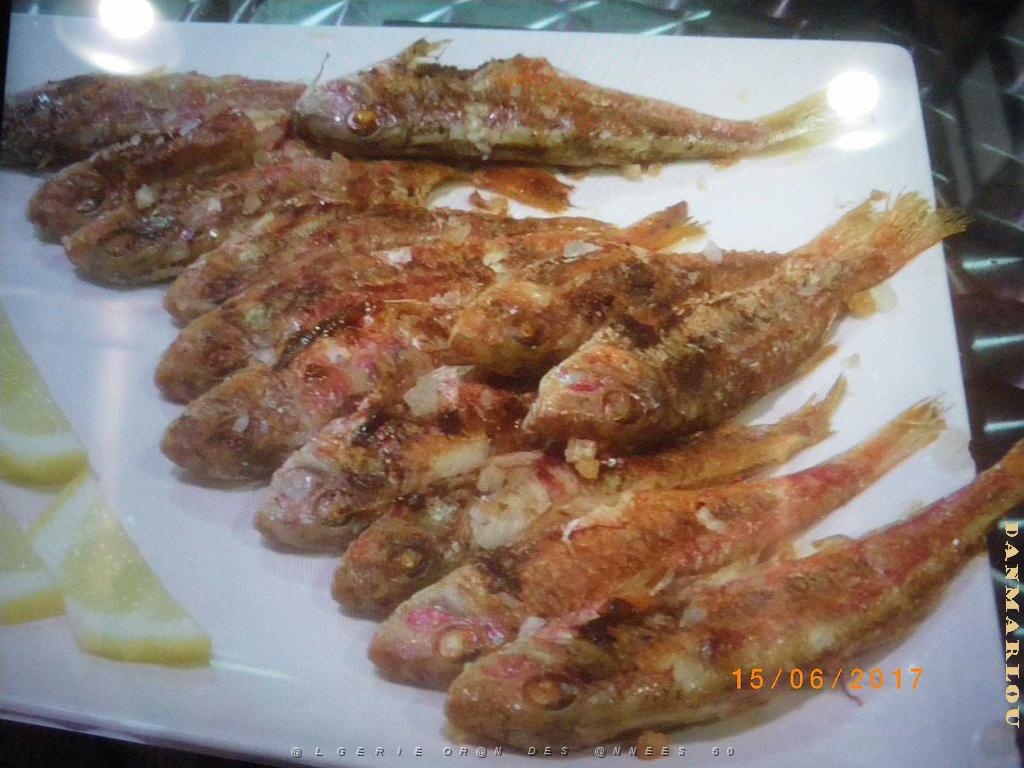 4 almeria 1 (7).JPG